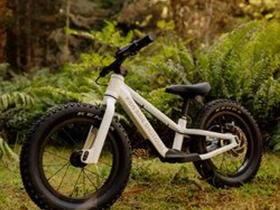 Kids Ride Shotgun Dirt Hero Push