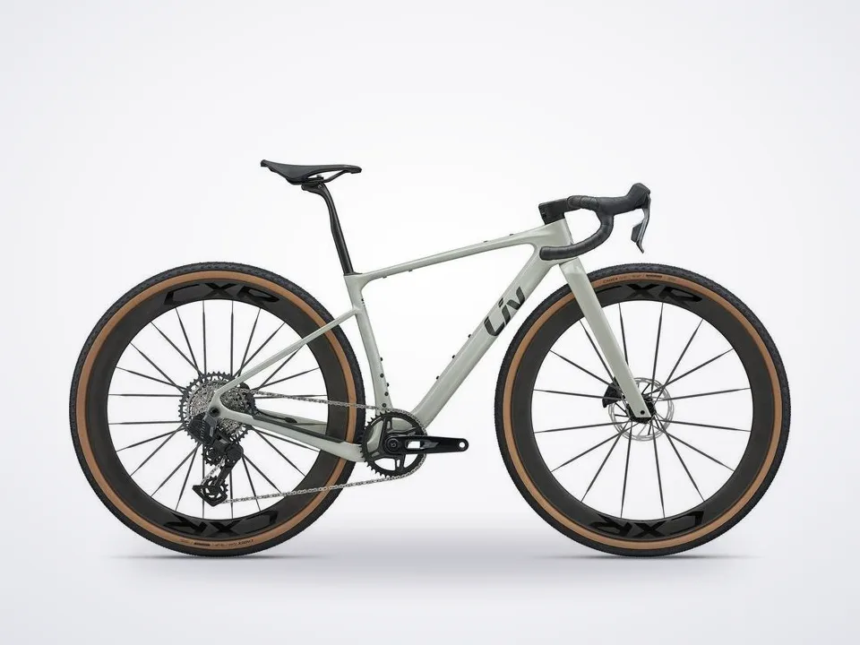 Liv Devote Advanced SL 2