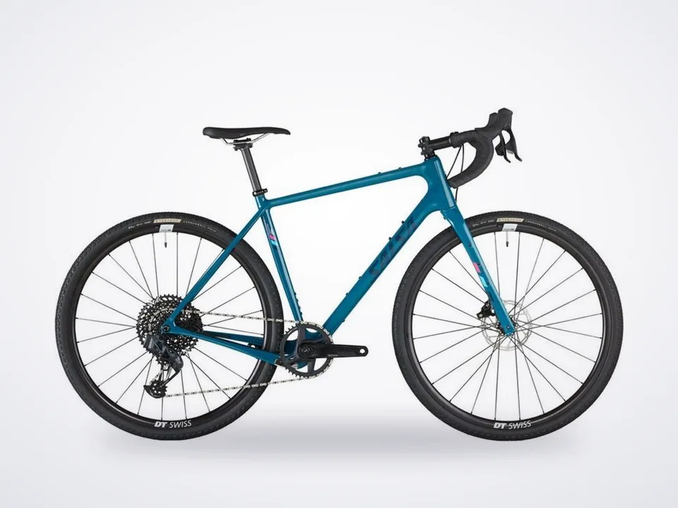 Salsa Warbird C GX Eagle AXS