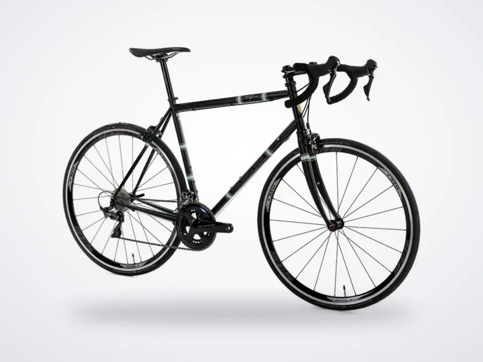 Light Blue Sport The Light Blue Wolfson