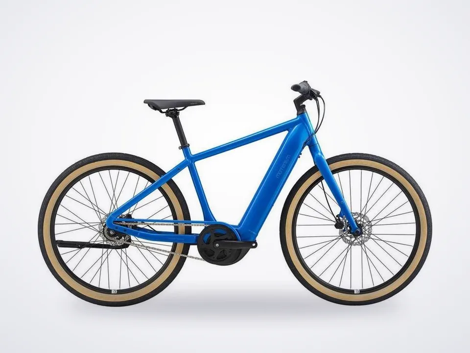 Momentum Transend E+