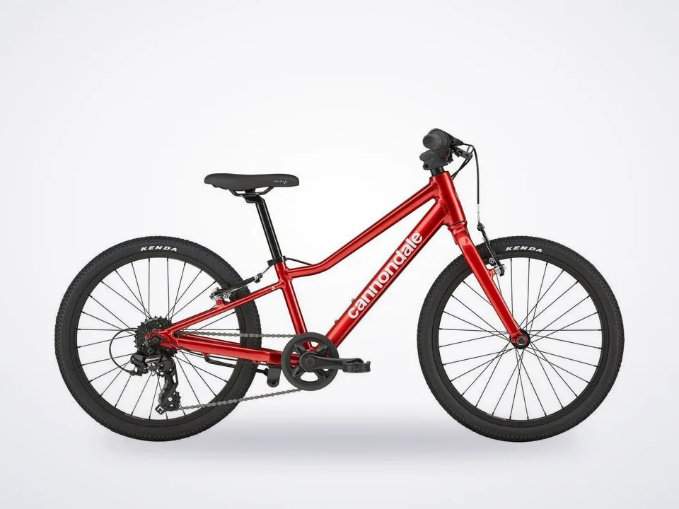 Cannondale Quick 20