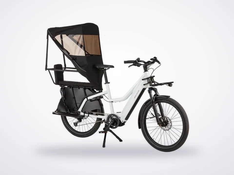 Riese & Müller Multicharger2 Mixte GT
