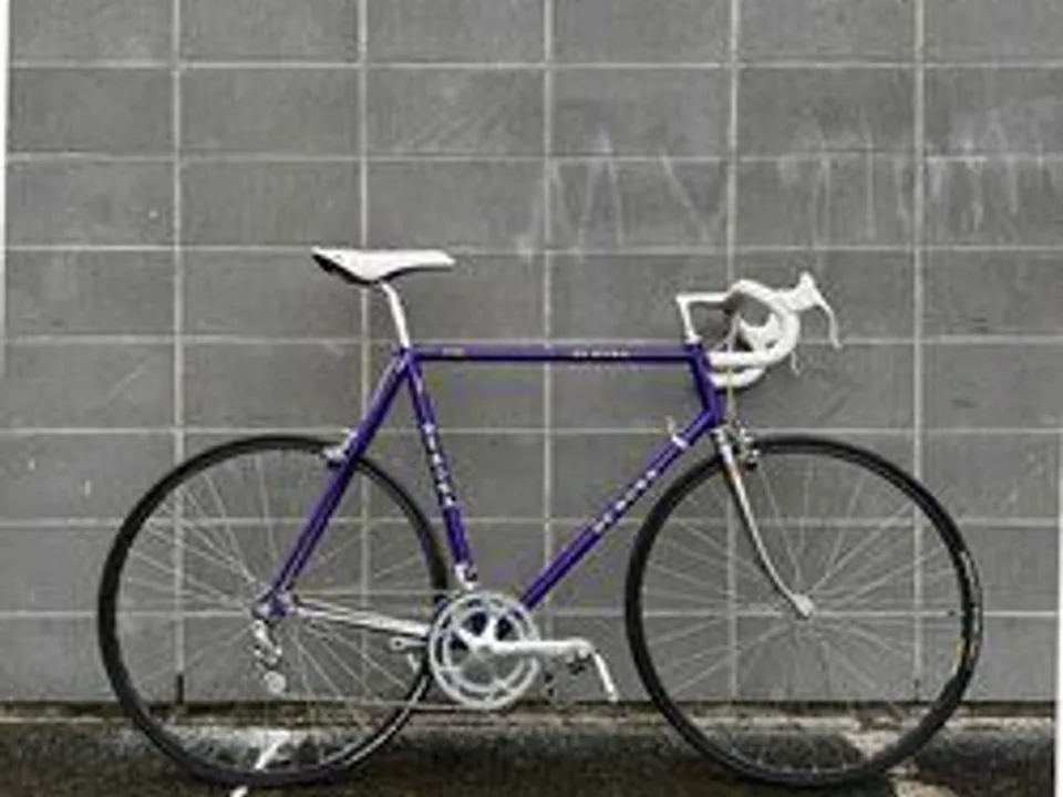 De Rosa Professional