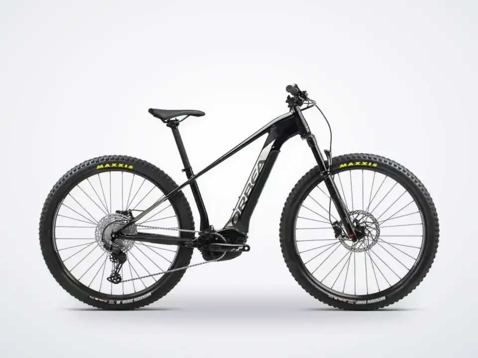 Orbea Wild HT H30 29 '22 Black/Titanium