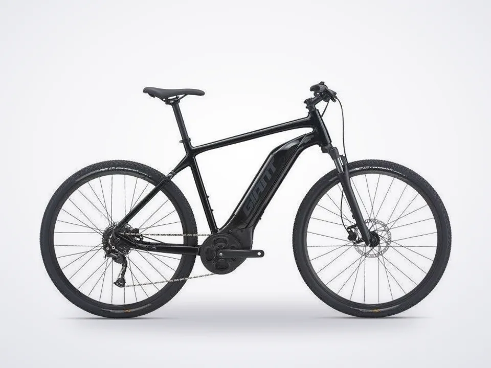 Giant Roam E+ GTS