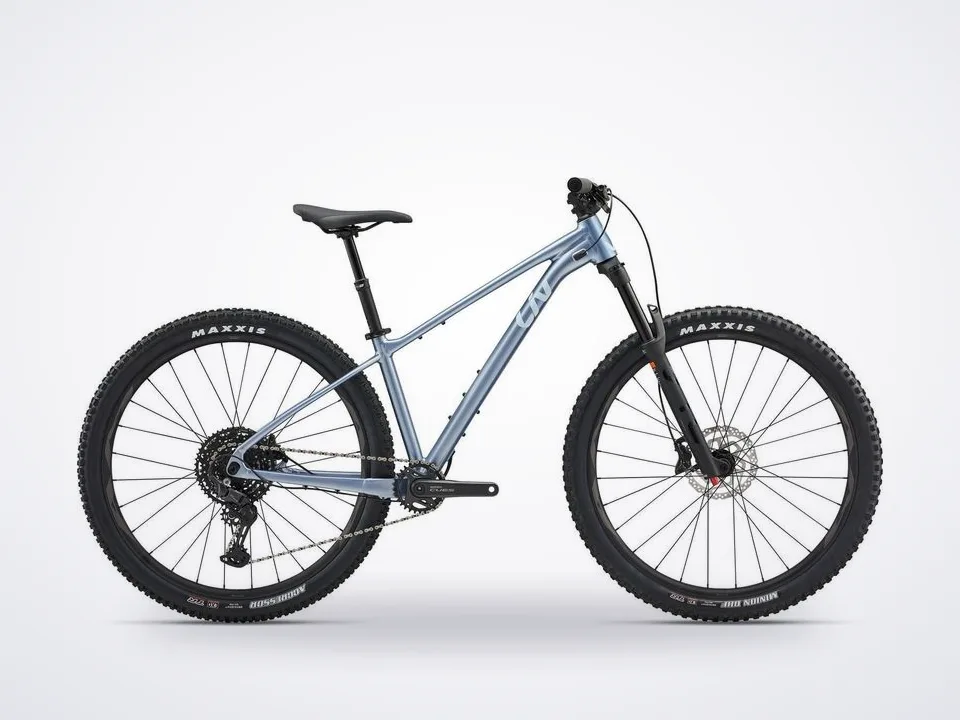 Liv Lurra 29 Hardtail