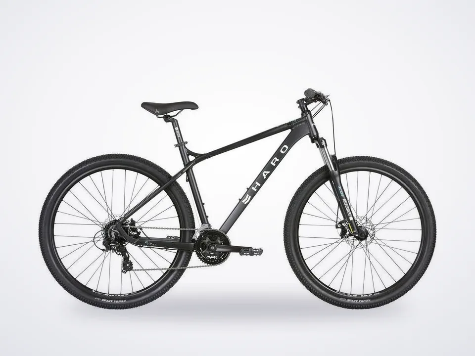 Haro Flightline Two 29