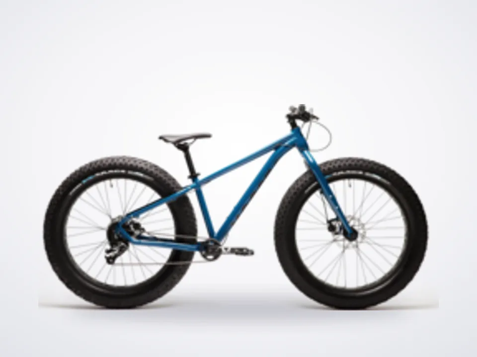 Moose Fat Bike 1