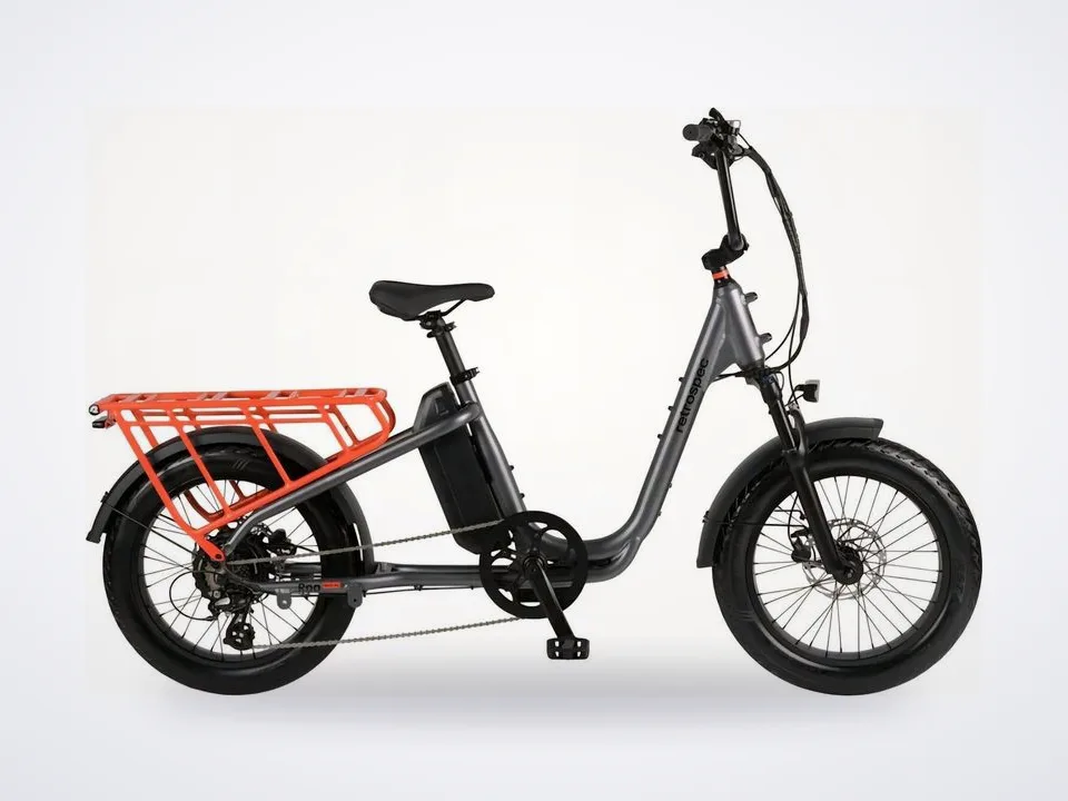 Retrospec Roo Rev XL Cargo