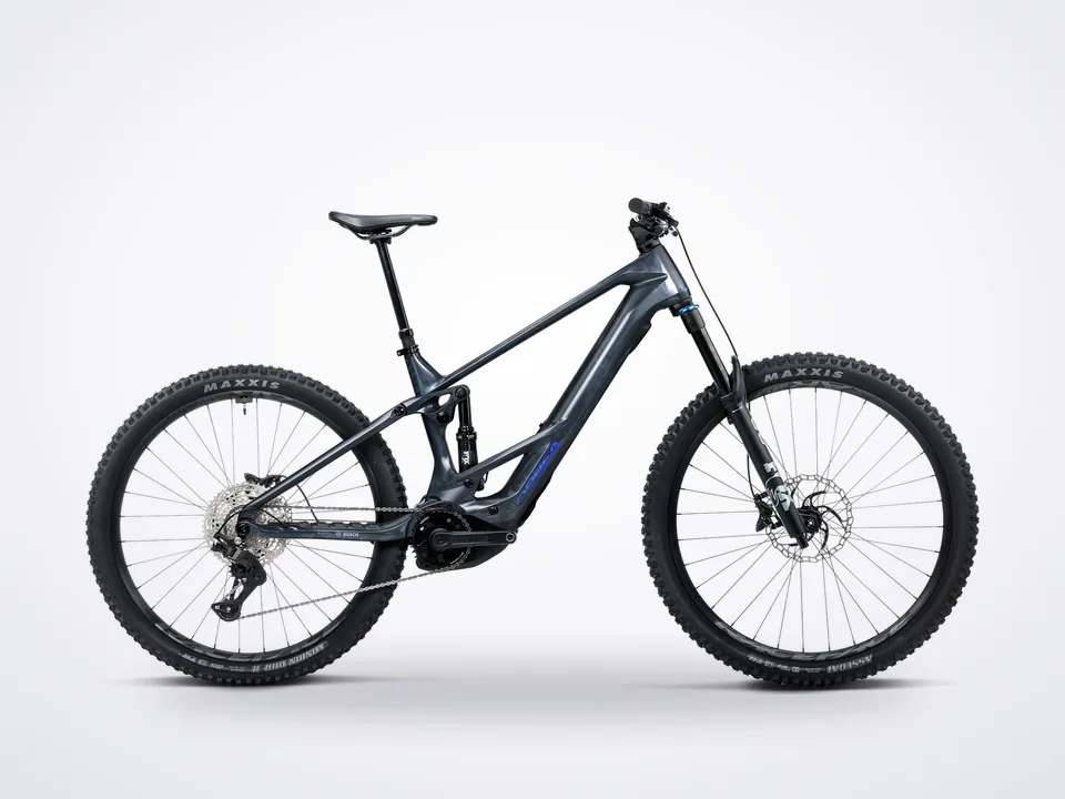 Orbea Wild TR M20 20mph