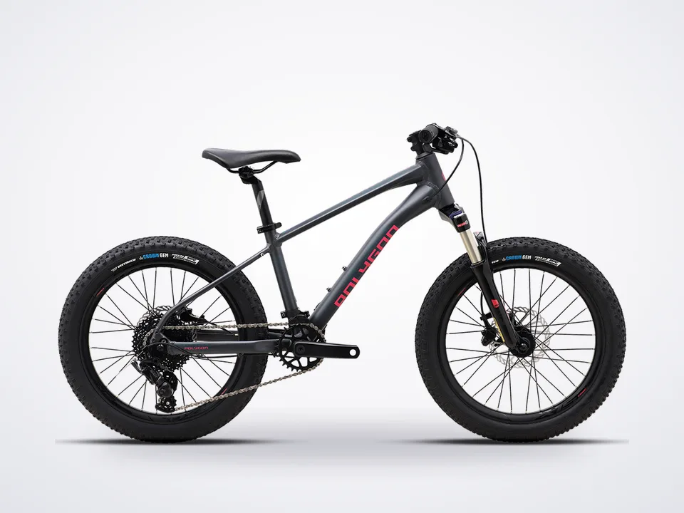 Polygon Xtrada 20
