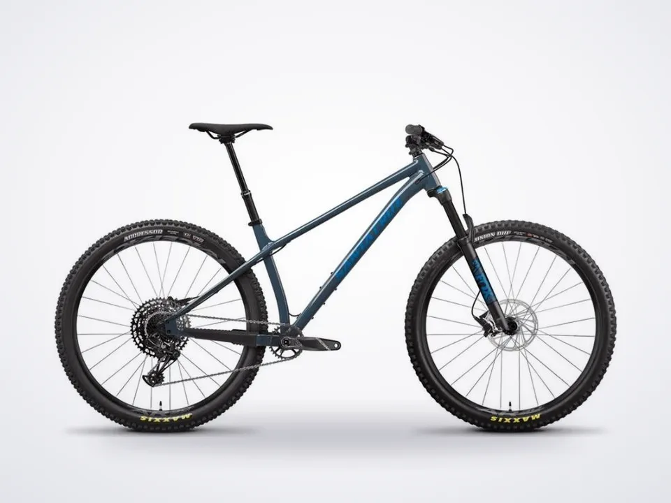 Santa Cruz Chameleon R1