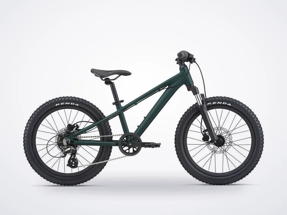 Giant STP 20 FS