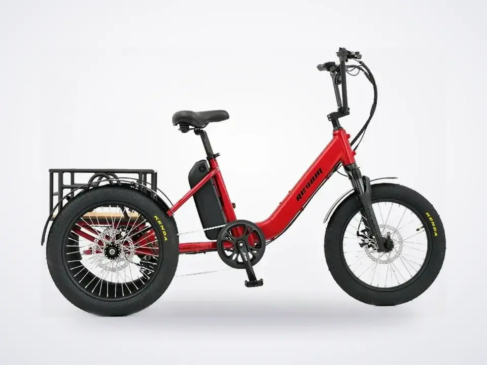 Revom Mover T1 Electric Cargo Tricycle
