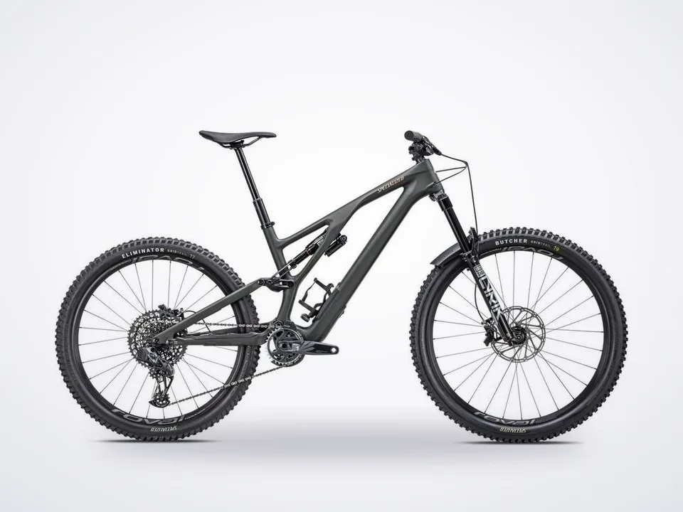 Specialized Stumpjumper EVO LTD