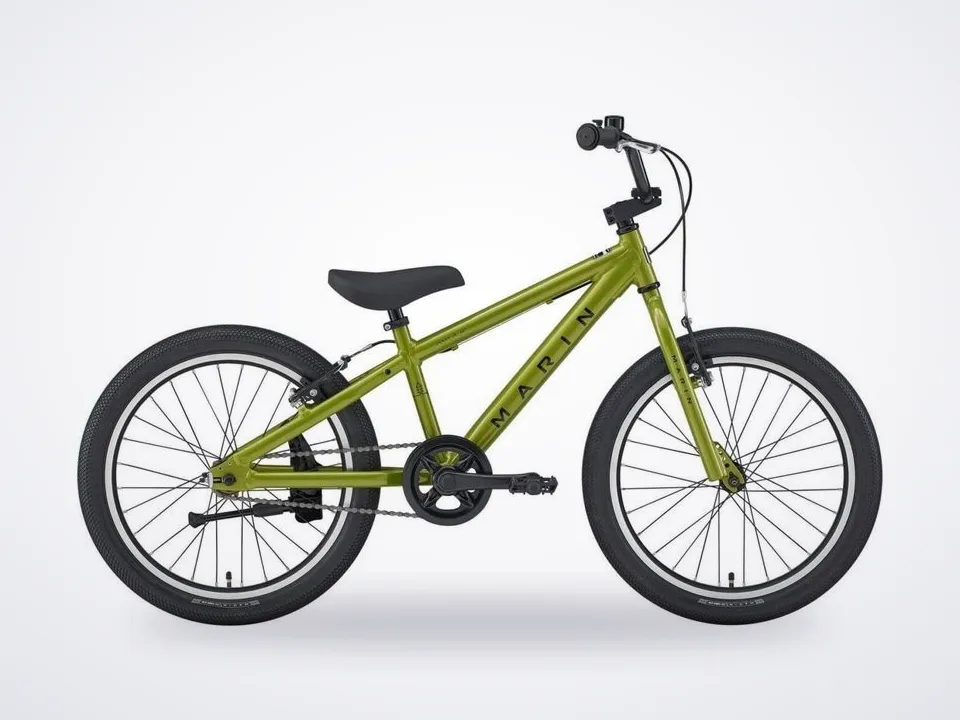 Marin Donky Jr 20"