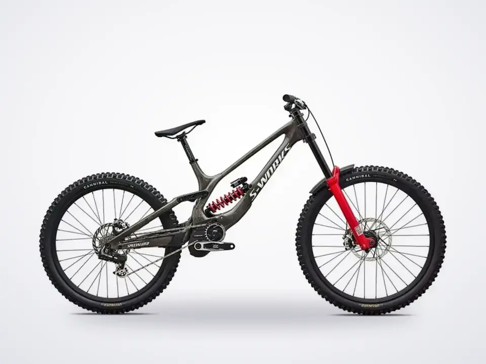 Specialized S-Works 11 Downhill Mountain Bike in Gloss Charcoal Dolomite Metallic