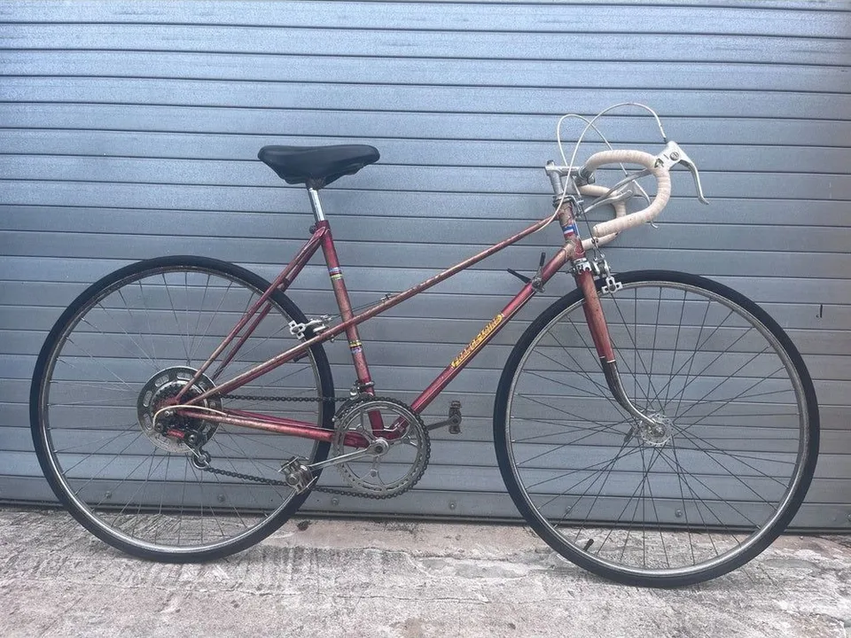 Vintage France-Loire Mixte