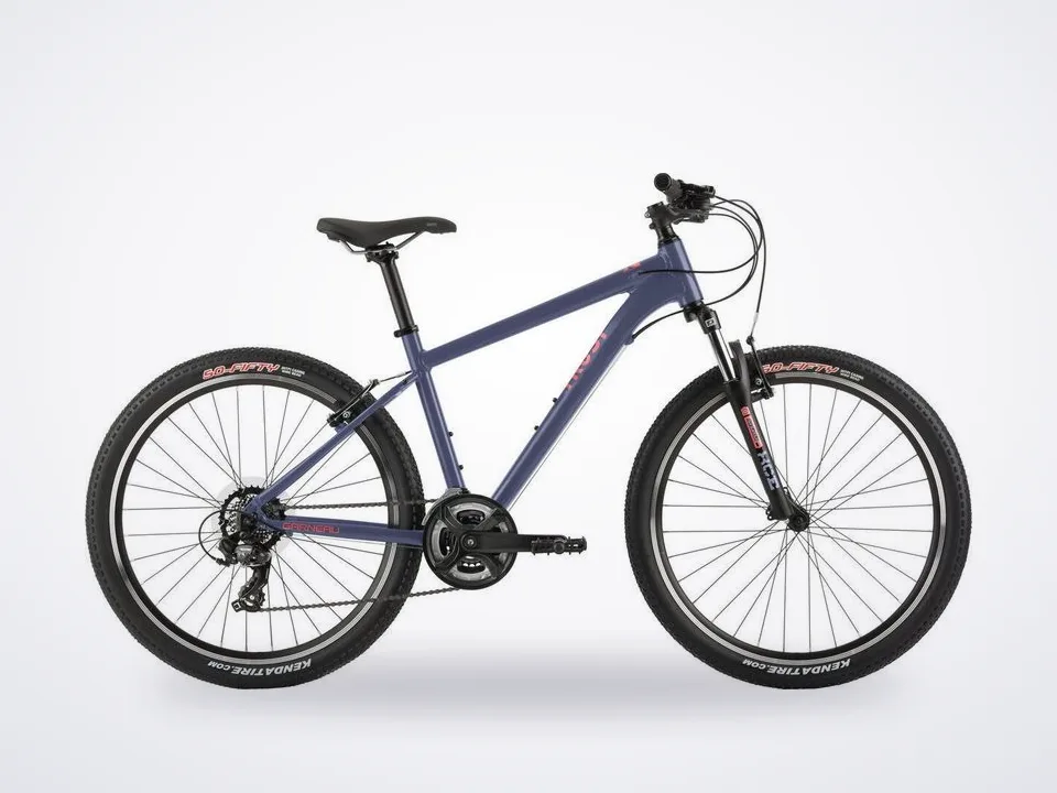 Garneau Trust 26