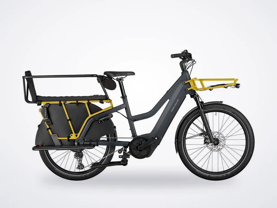 New* Riese Muller Multicharger3 Mixte Family