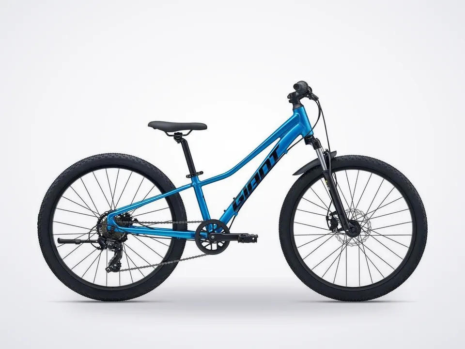 Giant Talon 24 Disc Hardtail