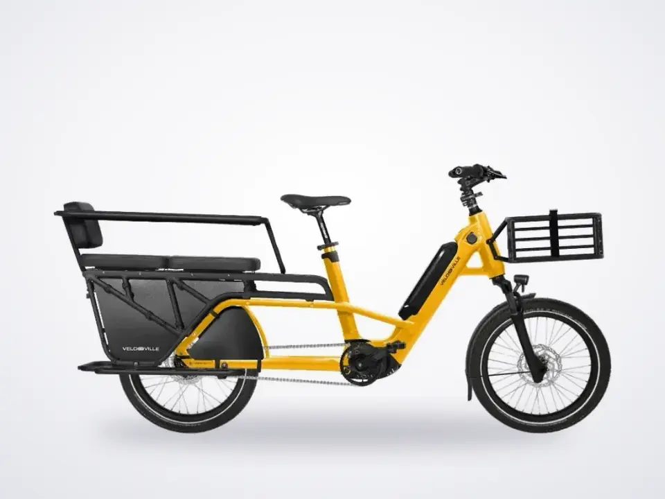 Velo-De-Ville Loady family cargo bike Melon