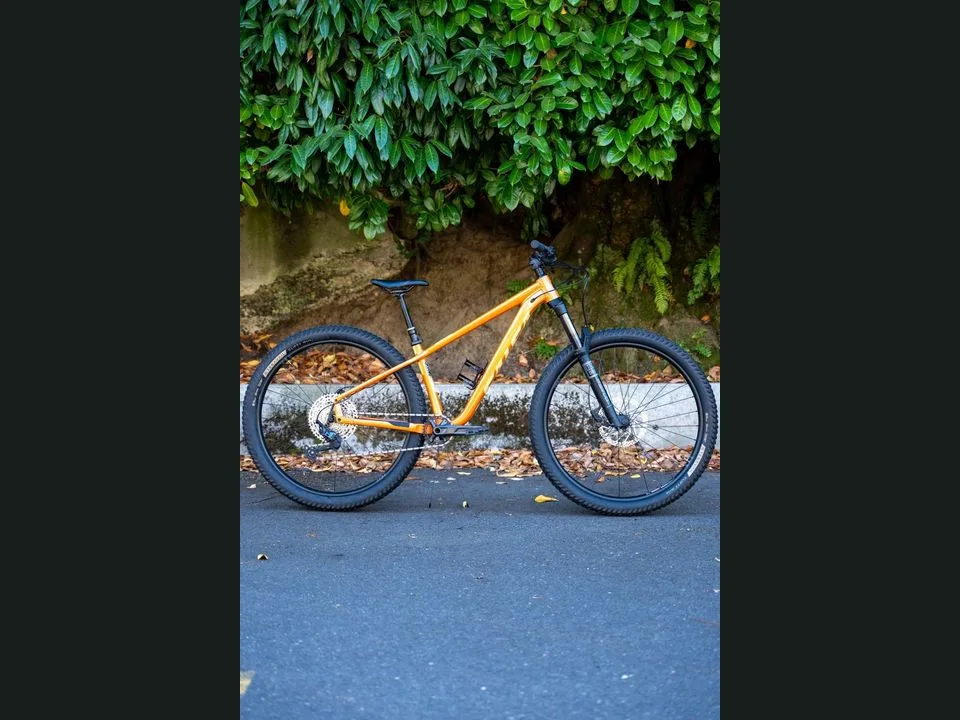 Salsa Salsa Timberjack