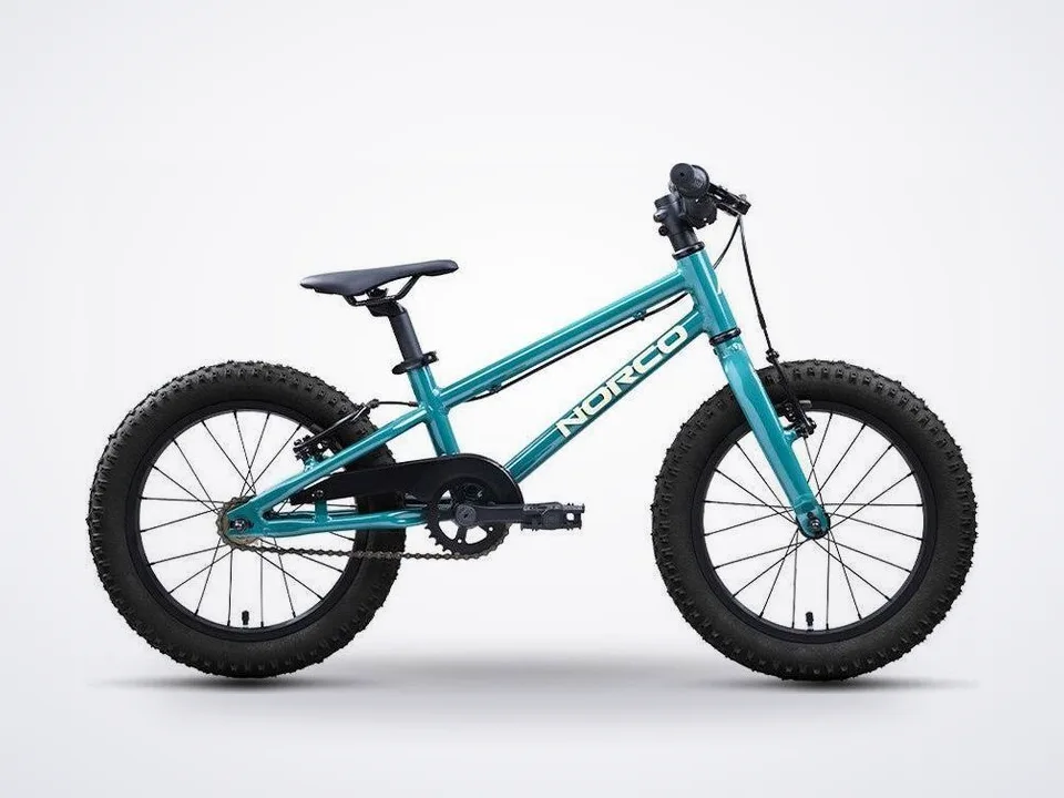 Norco Storm 16