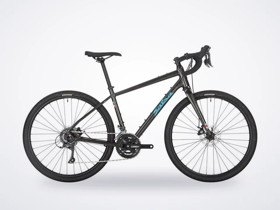 Salsa Journeyer Claris 650