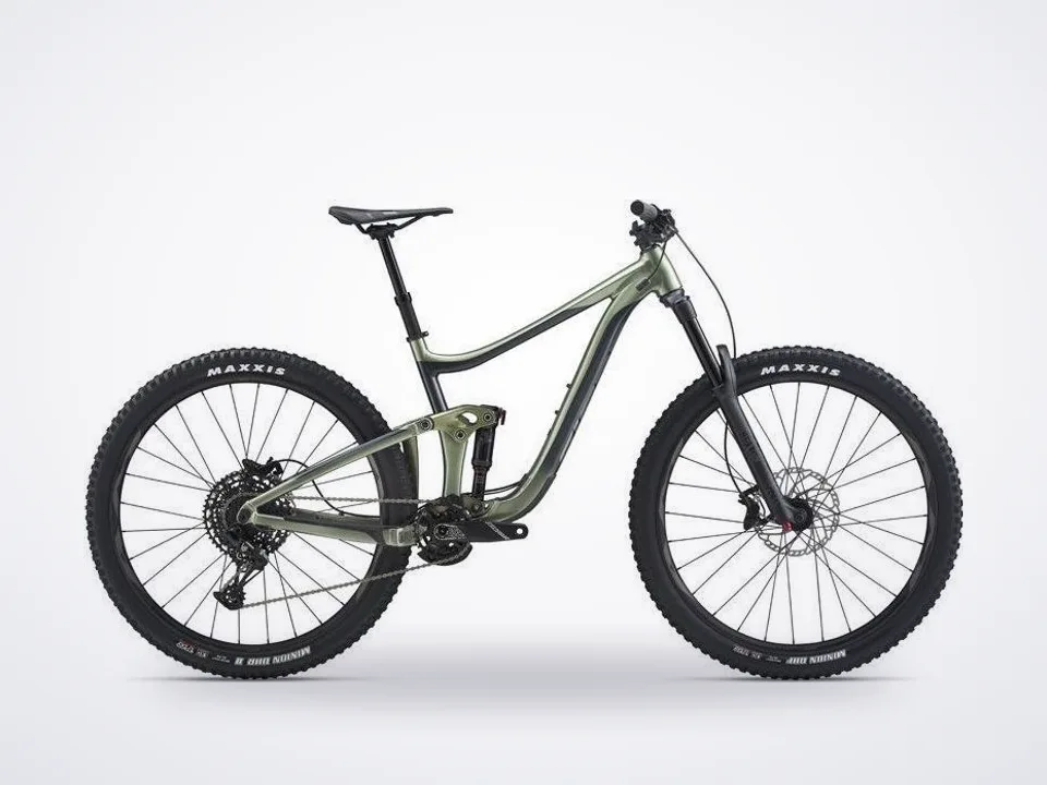 Giant Reign 29 2
