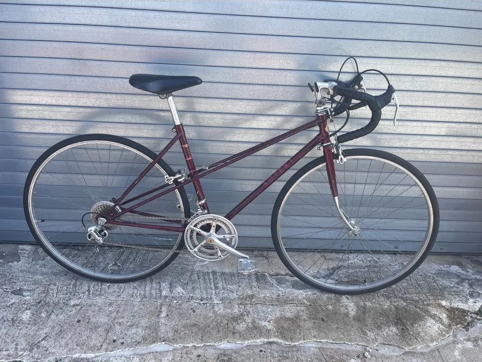 Vintage Japanese Suteki Mixte
