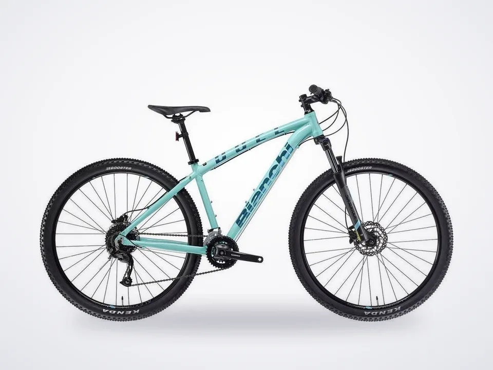 Bianchi Duel 29S