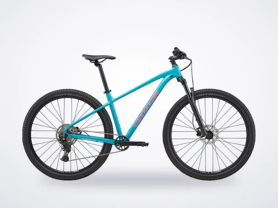 Cannondale Trail 2