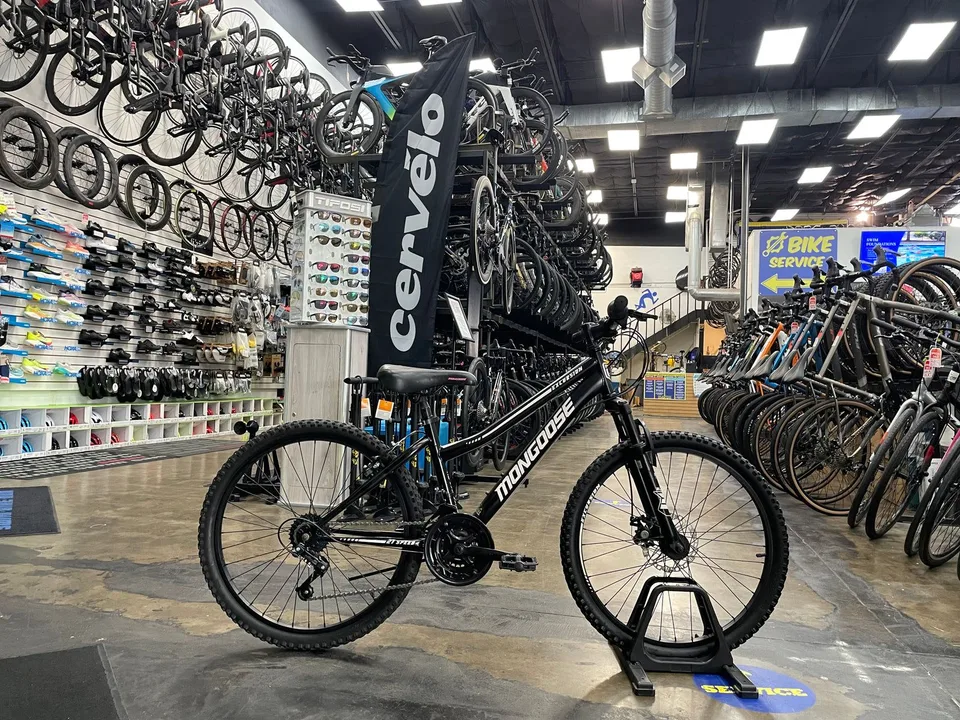 Mongoose Excursion 24"