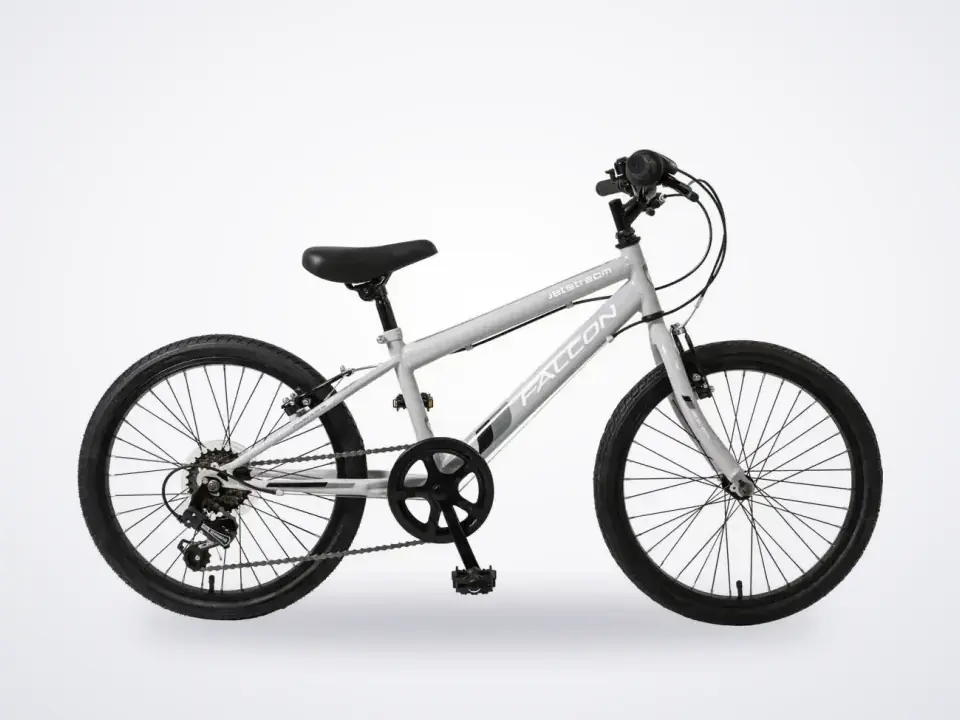 Falcon Jetstream 20 inch Grey