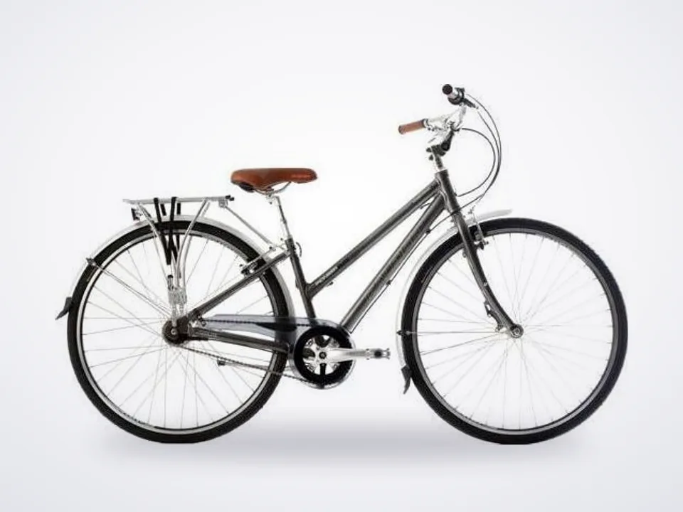 Raleigh Pioneer Elite 1