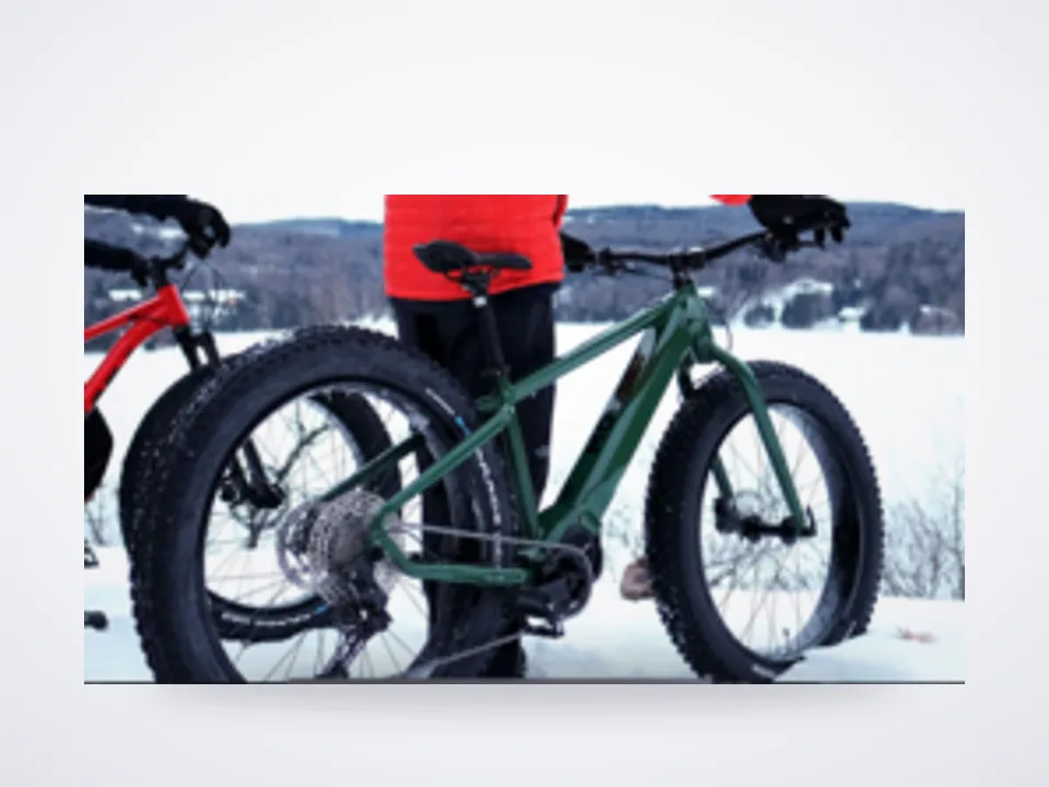 Moose eFat 27.5