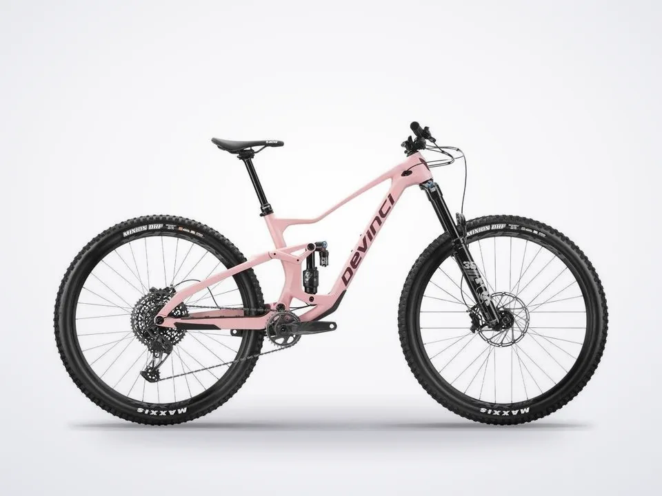 Devinci Troy