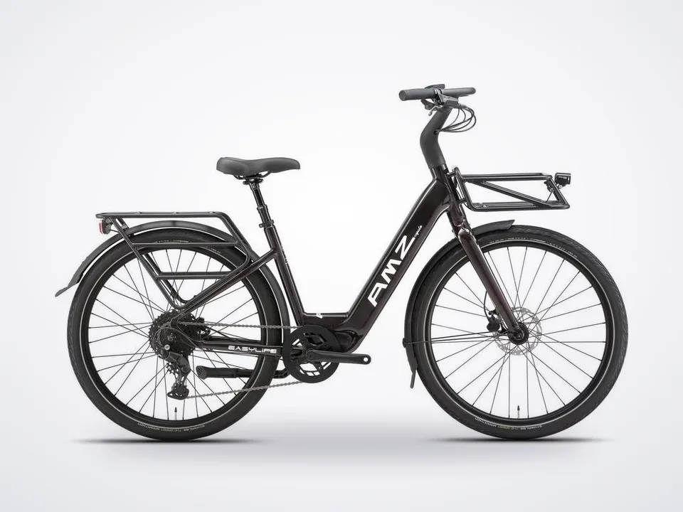 AMZcycle Easylife Electric