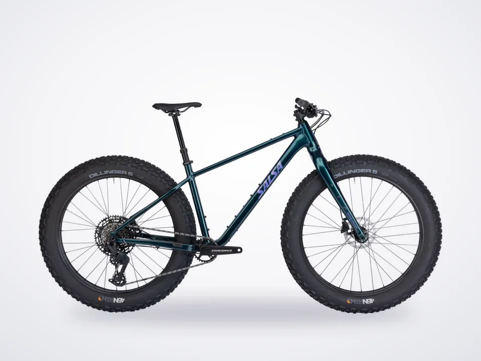 Salsa Beargrease Eagle 70