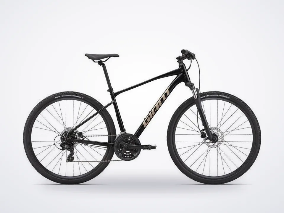 Giant Roam 4