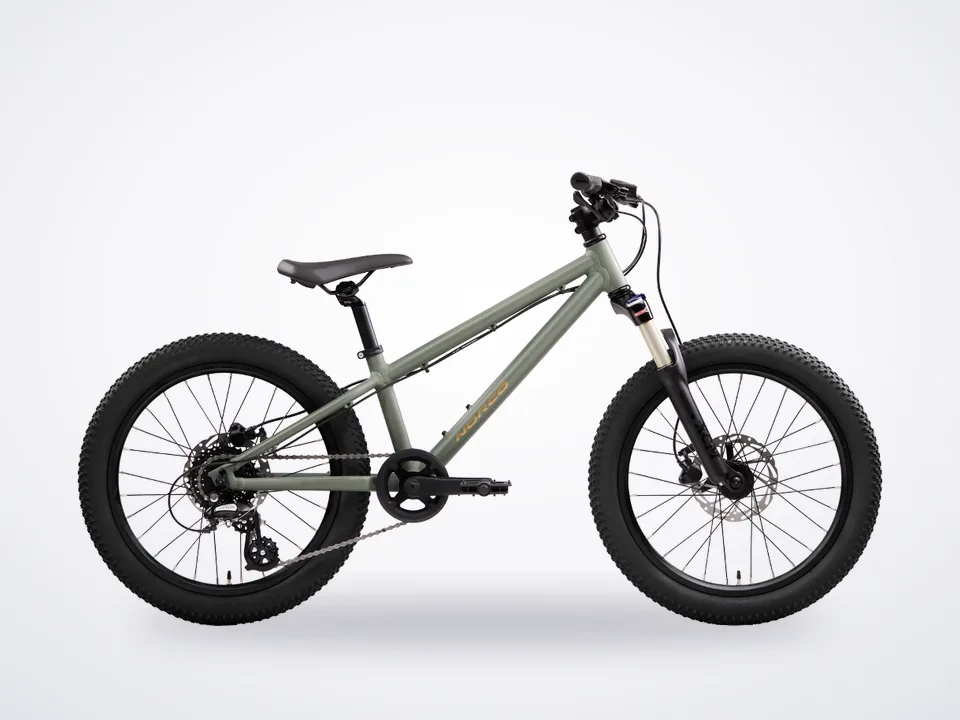 Norco Charger 20