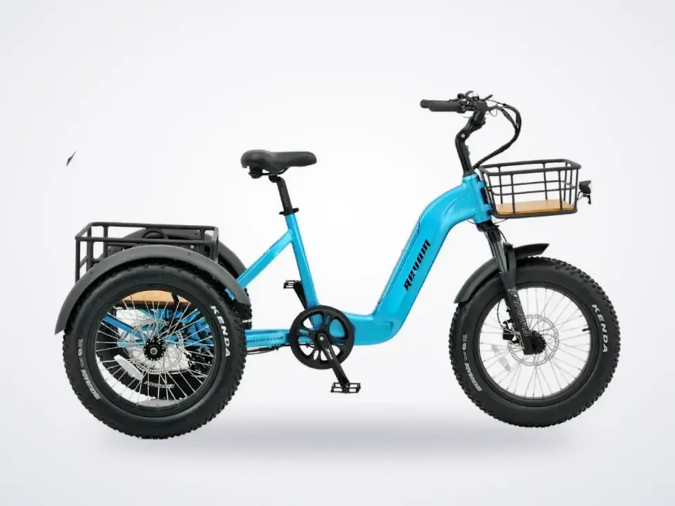 Revom Mover T2 Electric Cargo