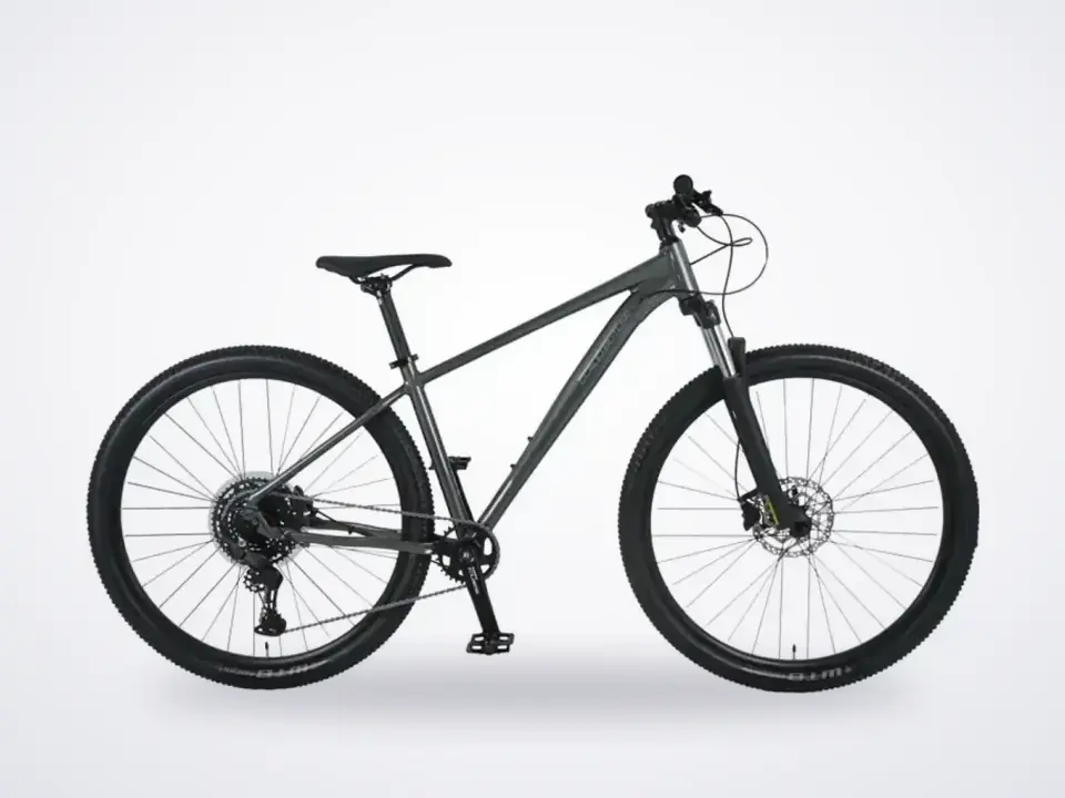 Claud Butler Alpina 2.0 29