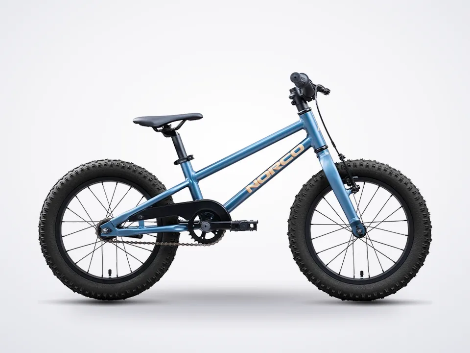 Norco Storm 16 Coaster