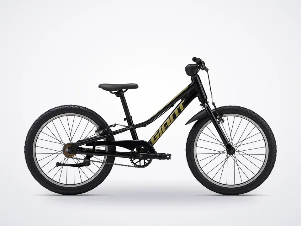 Giant Talon 20 SS