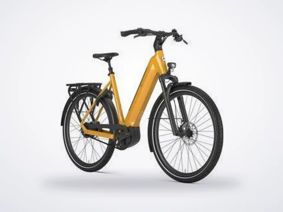 Gazelle Ultimate C380+ Low-Step 838