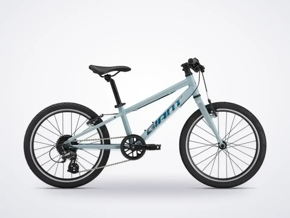 Giant ARX 20