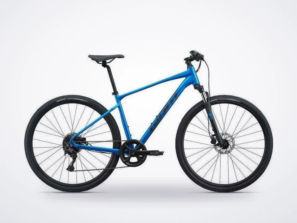 Giant Roam 2